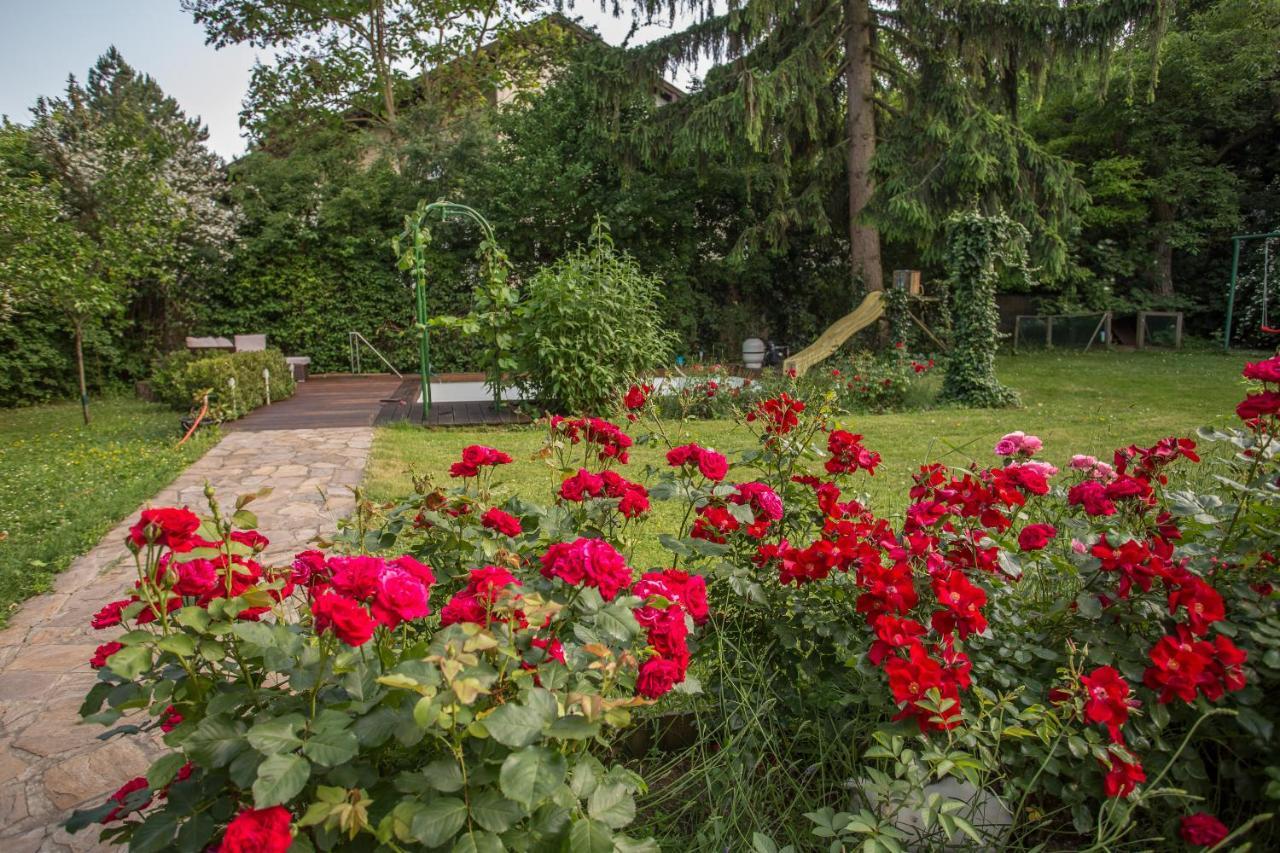Huebsches Privatzimmer Mit Bad Perchtoldsdorf Εξωτερικό φωτογραφία